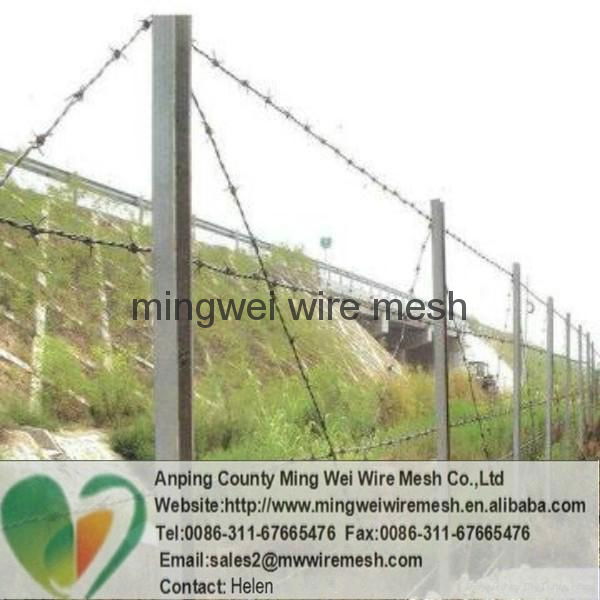 high quality barbed wire 4