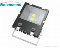 100W Outdoor LED Flood Light Bulb