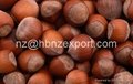 The Best Chinese Chestnuts Species--Organic Fresh Chestnut for Sale 3