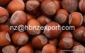 The Best Chinese Chestnuts Species--Organic Fresh Chestnut for Sale 4