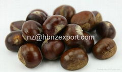 Fresh Organic Sweet Peeled Roasted Chestnut