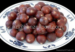 The Best Chinese Chestnuts Species--Organic Fresh Chestnut for Sale