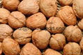 Walnut & Walnut Kernel (Fat type) 1