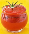 Bulk Tomato Paste in Drum