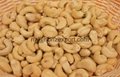         Cashew Nuts (Raw) Roasted & Salted Cashews (50% Less Salt)