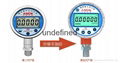 精密数字压力表ACD-200（轴向) 1