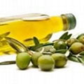 Olive Oil