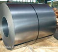 Cold rolled  steel coil