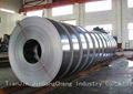 strip  steel