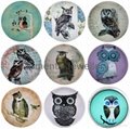 Snap Button Glass Chunk With Owl Pattern