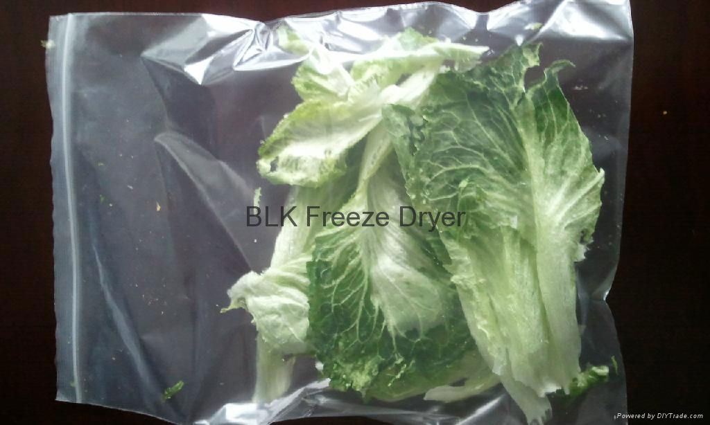 Vegetables Freeze Dryer 3