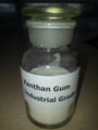 Industrial Grade Xanthan Gum xanthan gum 1