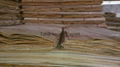 Eucalyptus core veneers for engineered flooring