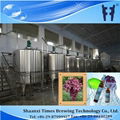 Grapes Vinegar Making Machine 2