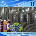 Blueberries Vinegar Making Machine