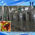 Apple Cider Vinegar Making Machine
