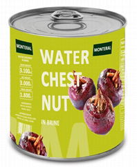Canned Water Chestnut in Brine