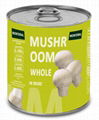 Canned Champignon Mushroom in Brine 1