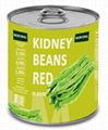 Canned Kidney Beans in Brine