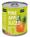 Canned Pineapple in Light Syrup 1