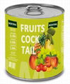 Canned Fruit Cocktail in Light Syrup