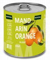 Canned Mandarin Orange in Light Syrup 1