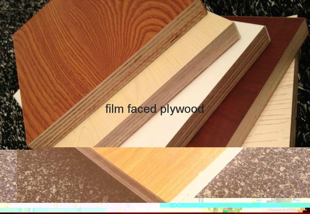 anti slip marine plywood 4