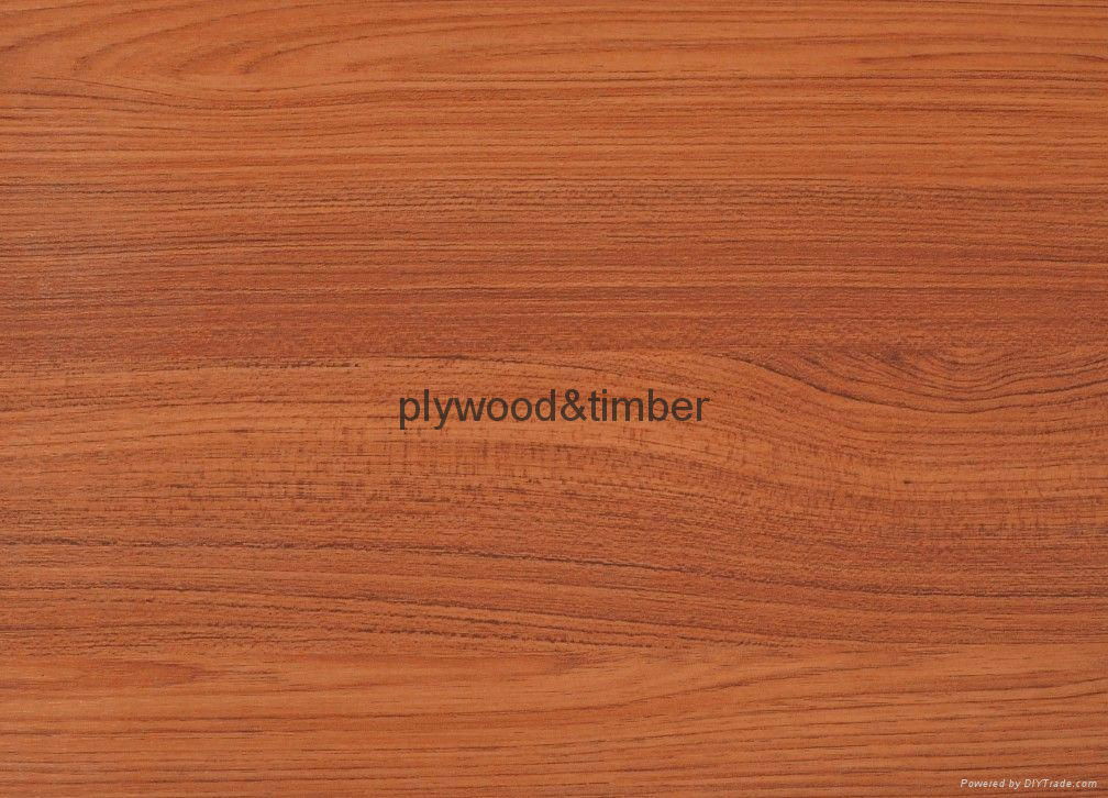 bamboo plywood 5