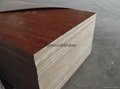 melamine plywood 4