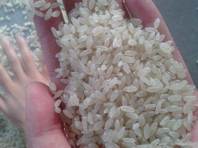 Aritificial nutrition fortified rice processing machinery 4