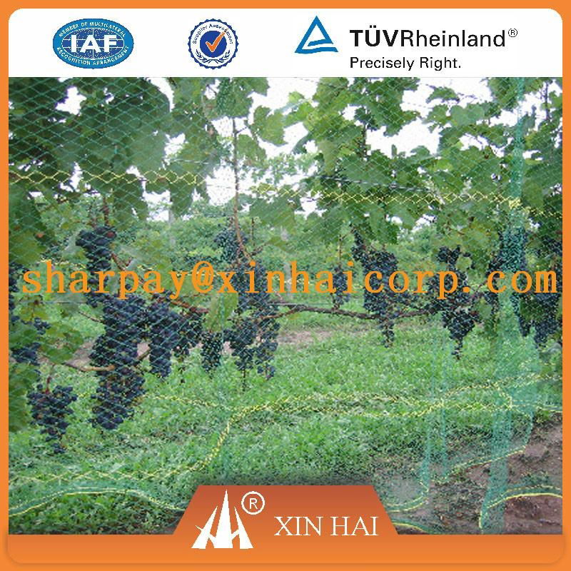 HDPE/PE Multifialment Fish Farming Cage Net 5