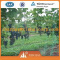 HDPE/PE Multifialment Fish Farming Cage Net 5