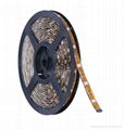 LED strip 5050 5