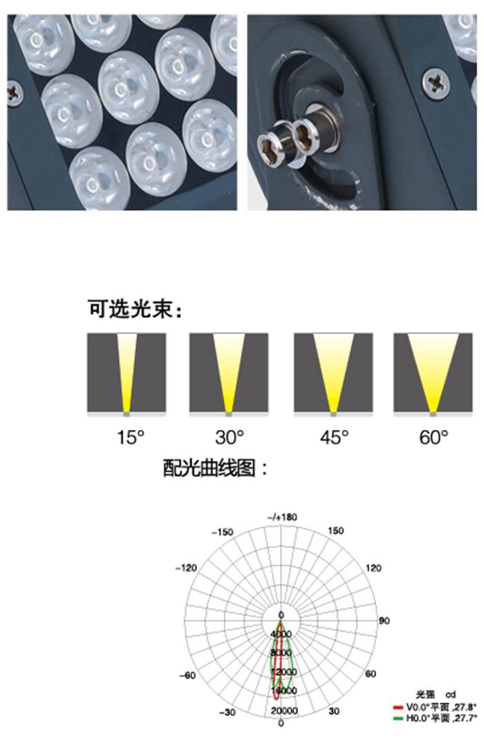 霓彩LED投光灯照树照墙 2