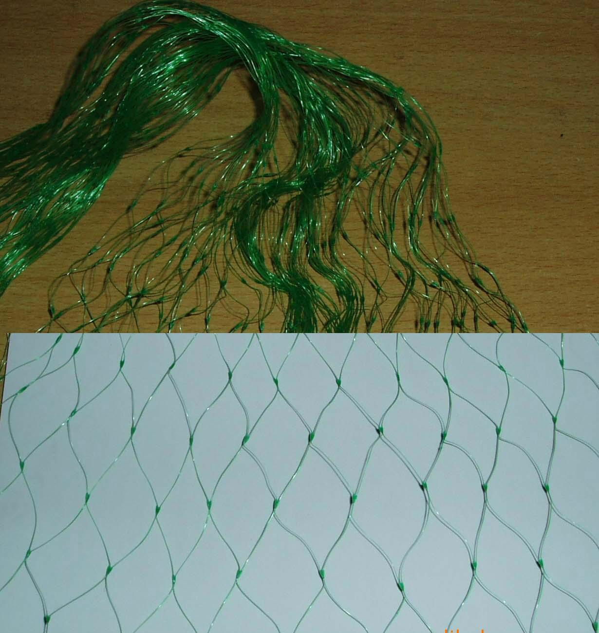 Anti-bird Netting Protection for Grapes