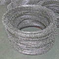 Directly factory galvanized anti-climbing barbed wire 2