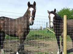 Field fence - woven wire mesh fence