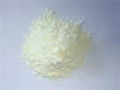 cream milk powder