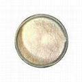 milk powder