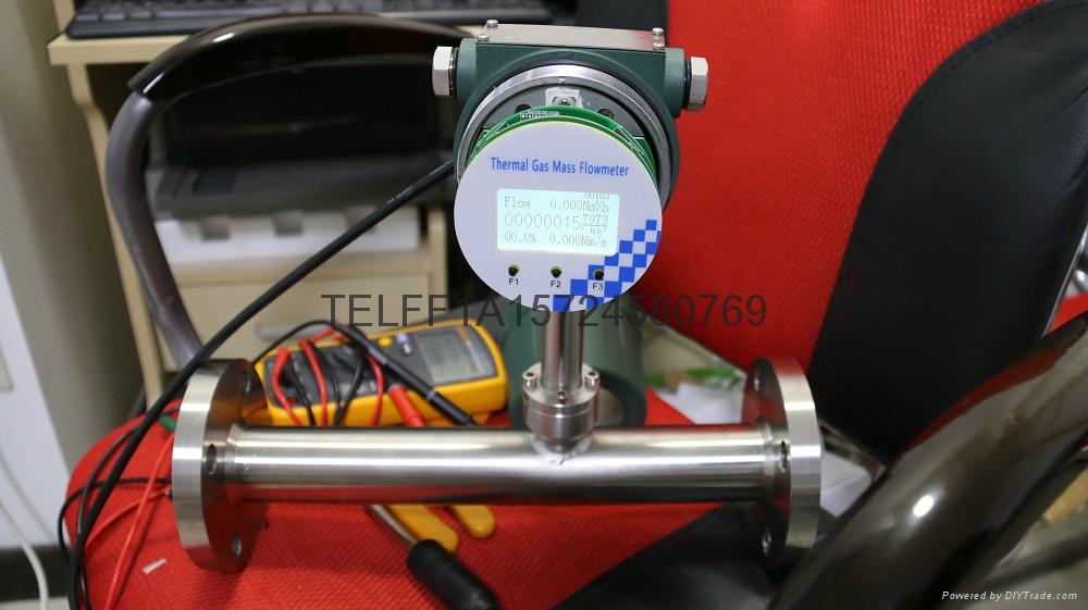 Thermal mass air flow meter TRTMFM TEREN (China Manufacturer