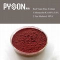Red Yeast Rice Extract 1