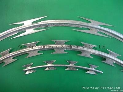 Hot Sell Razor Wire Flat Wrap Fence 5