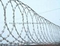 Hot Sell Razor Wire Flat Wrap Fence