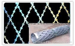 Welded Ripper Razor Wire (BTO-22, BTO-30) 2