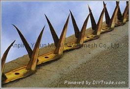 Galvanized Steel Wall Spike  5