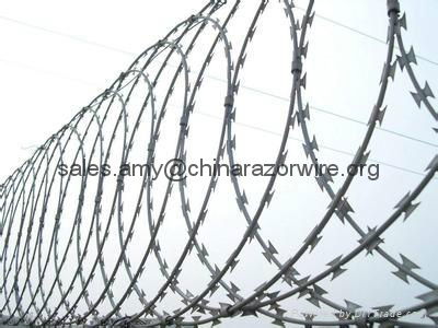 Razor Wire with High Quality and Competitive Price 3