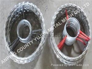 Hot Sale High Quality Electric Galvanized Razor Barbed Wire 4