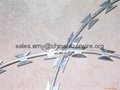 Hot Sale High Quality Electric Galvanized Razor Barbed Wire 5