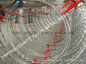 Electric Razor Barbed Wire 5