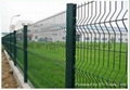 Galvanized Welded Wire Mesh Fence 2